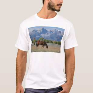 Camiseta Caballo, rancho de Wyoming