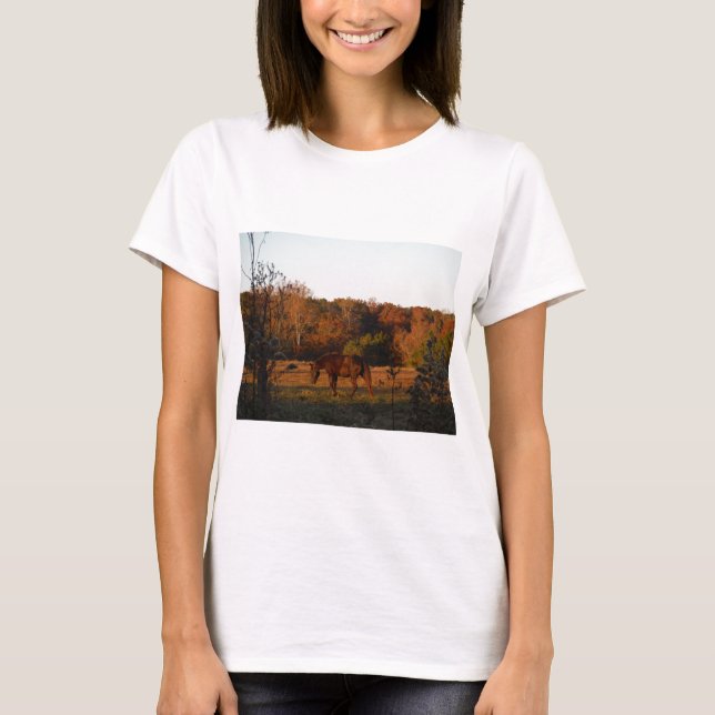 Camiseta Caballo rojo marrón, bosque otoñal. (Anverso)