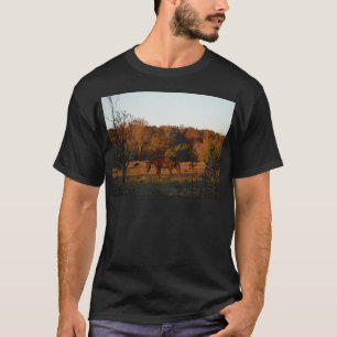 Camiseta Caballo rojo marrón, bosque otoñal.
