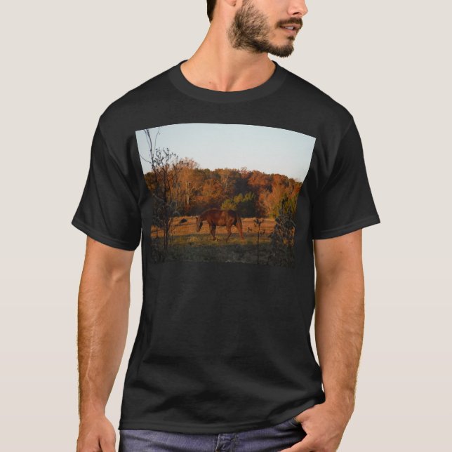 Camiseta Caballo rojo marrón, bosque otoñal. (Anverso)