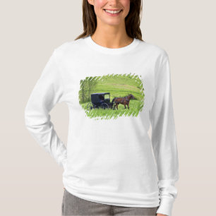 Camiseta Caballo y buggy Amish cerca de Berlín, Ohio.