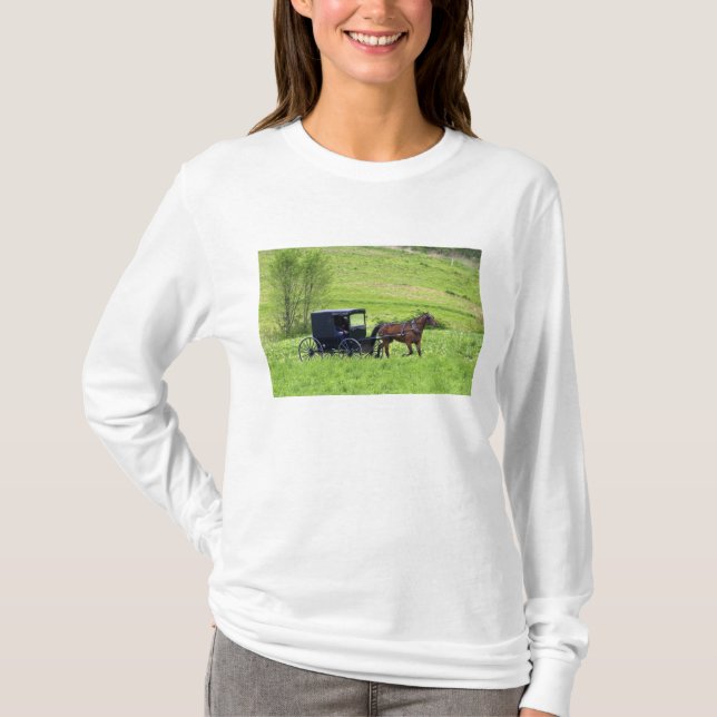Camiseta Caballo y buggy Amish cerca de Berlín, Ohio. (Anverso)