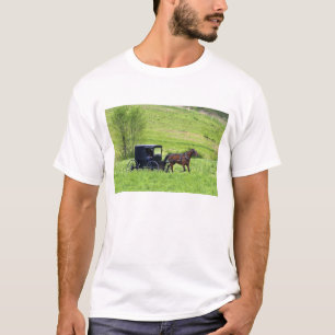 Camiseta Caballo y buggy Amish cerca de Berlín, Ohio.