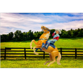 Camiseta Caballo y vaquero