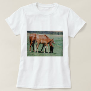CAMISETA CABALLOS AMISTOSOS