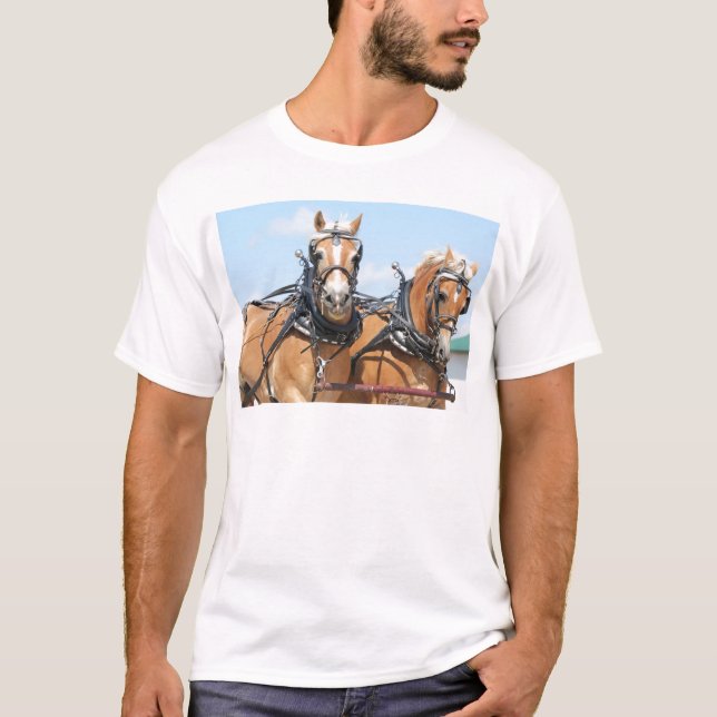 Camiseta Caballos belgas (Anverso)