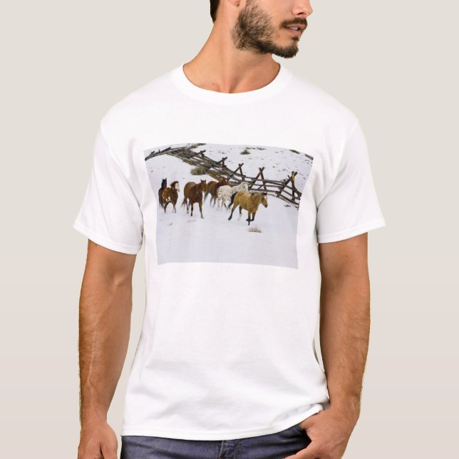 Camiseta Caballos Corriendo en Nieve (Anverso)