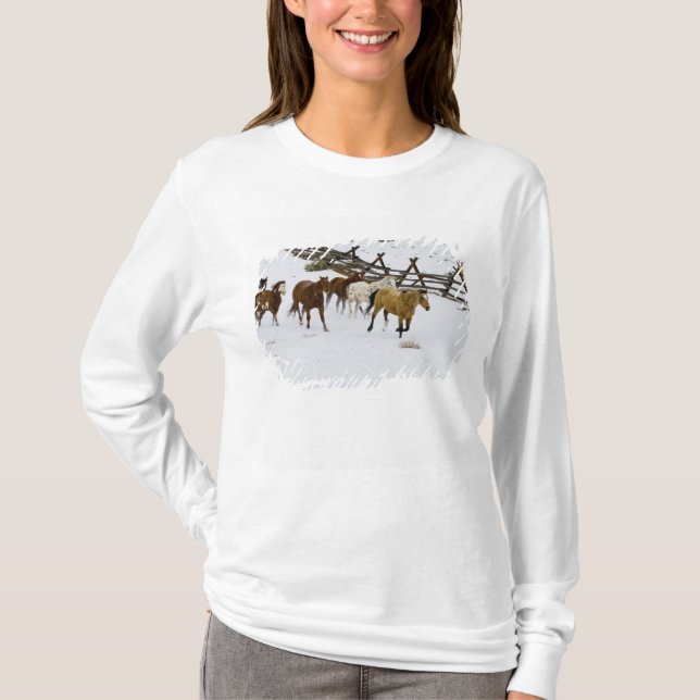 Camiseta Caballos Corriendo en Nieve (Anverso)