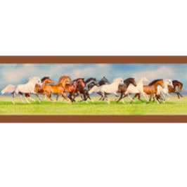 Camiseta Caballos de Galloping