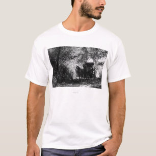 Camiseta Caballos de la carga que toman una rotura