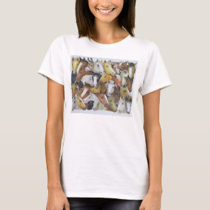 Camiseta Caballos de los caballos