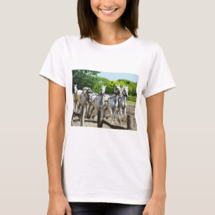 Camiseta Caballos galopantes