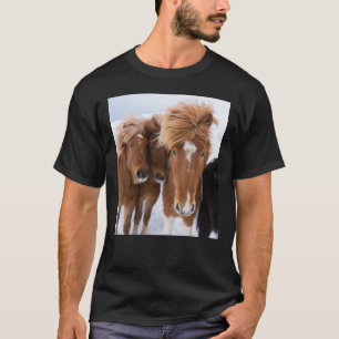 Camiseta Caballos islandeses acarician, Islandia