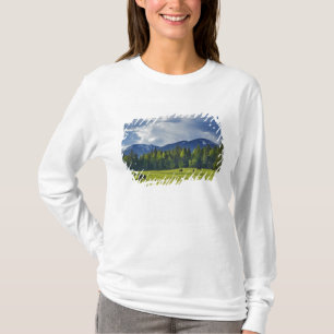 Camiseta Caballos pastan en pastizal cerca de Whitefish,