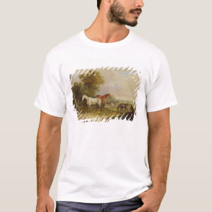 Camiseta Caballos que pastan: Un semental gris que pasta
