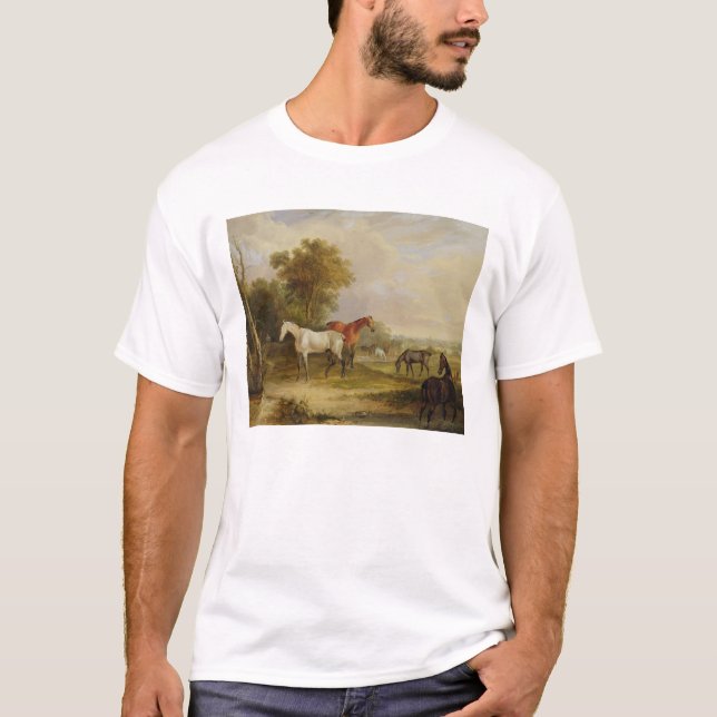 Camiseta Caballos que pastan: Un semental gris que pasta (Anverso)