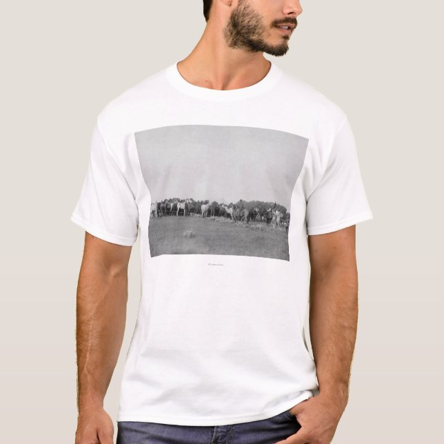 Camiseta Caballos reunidos por la fotografía de los (Anverso)