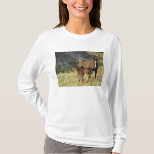 Camiseta Caballos salvajes en el Parque Nacional Theodore R