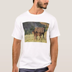 Camiseta Caballos salvajes en el Parque Nacional Theodore R