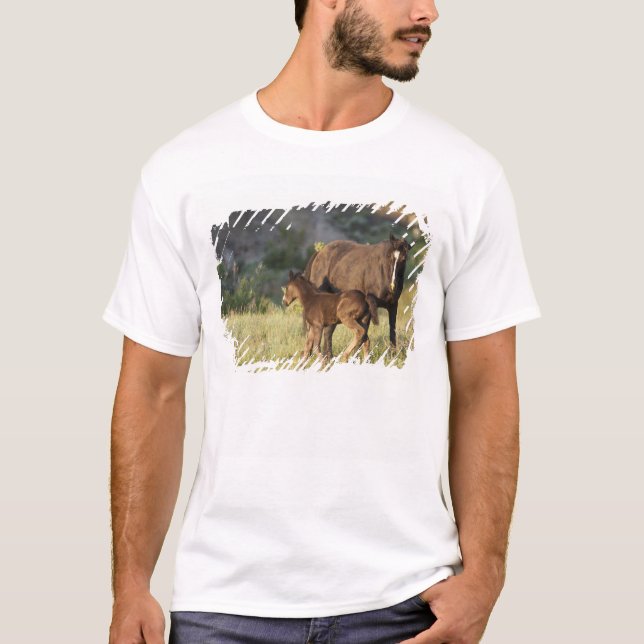 Camiseta Caballos salvajes en el Parque Nacional Theodore R (Anverso)