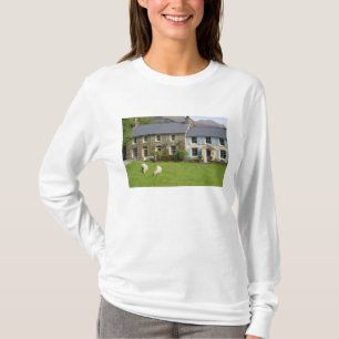 Camiseta Cabañas, Beddgelert, Gwynedd, Gales