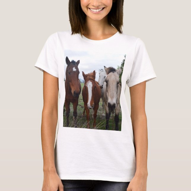 Camiseta Cabello De Pelo, Cuatro Picas De Caballo, (Anverso)