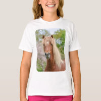 Cabeza de caballo Aegidienberger cruza Islandia y