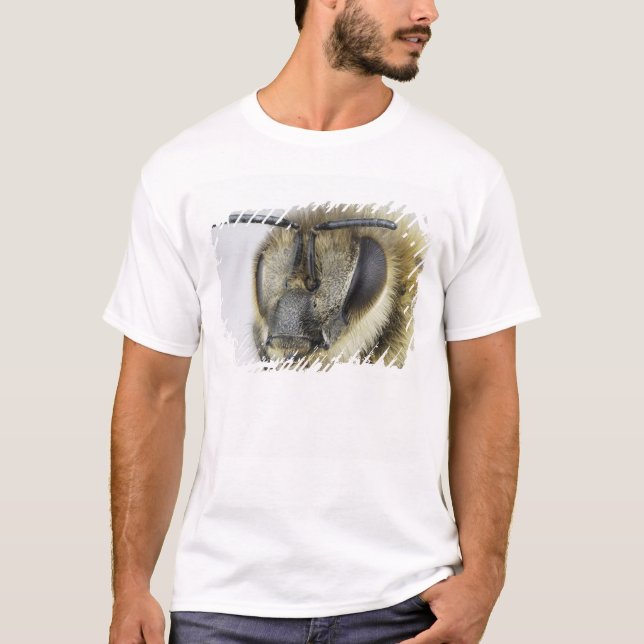 Camiseta Cabeza de la abeja (Anverso)