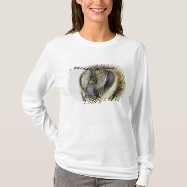 Camiseta Cabeza de la abeja (Anverso)