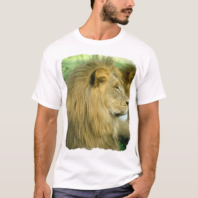 Camiseta Cabeza de los leones (Anverso)