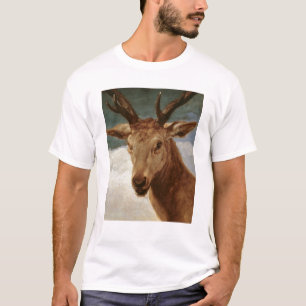 Camiseta Cabeza de un macho, 1634