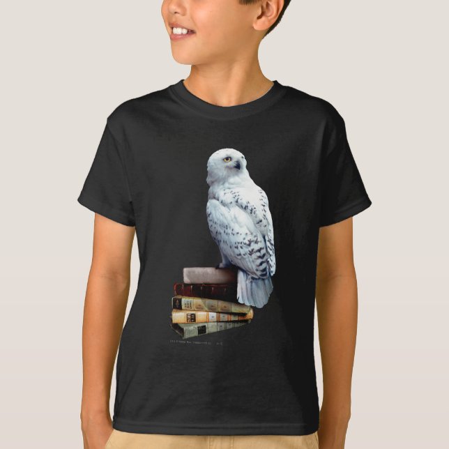 Camiseta Cableado de libros (Anverso)