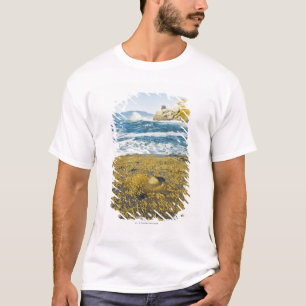 Camiseta Cabo Kiwanda y el Océano Pacífico