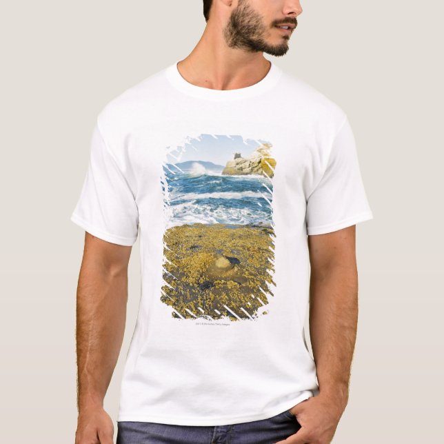 Camiseta Cabo Kiwanda y el Océano Pacífico (Anverso)