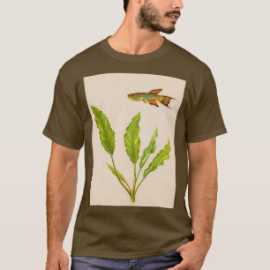 Camiseta Cabo López Aphyosemion australe