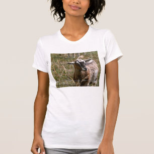 Camiseta Cabra