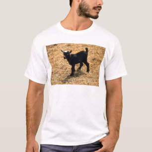 Camiseta Cabra joven del Pigmy