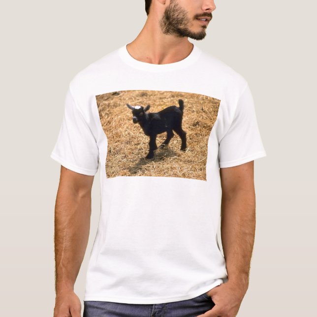Camiseta Cabra joven del Pigmy (Anverso)