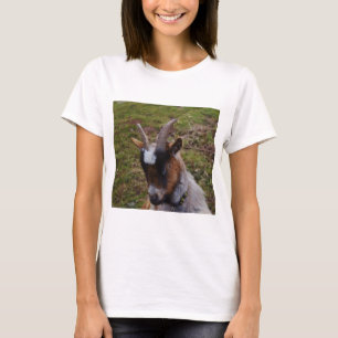 Camiseta Cabra linda