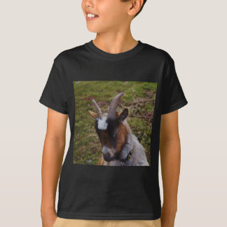 Camiseta Cabra linda