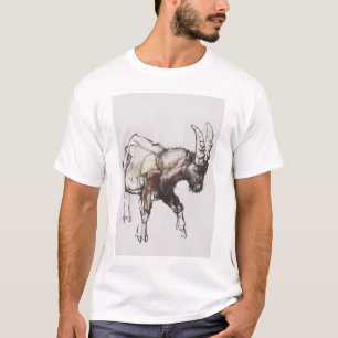 Camiseta Cabra montés joven Gran Paradiso 2005
