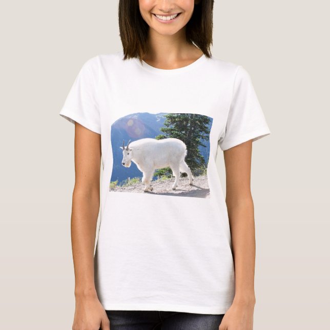 Camiseta Cabras de montaña (Anverso)