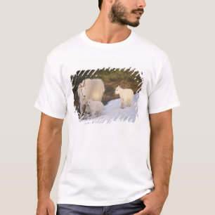 Camiseta cabras montesas