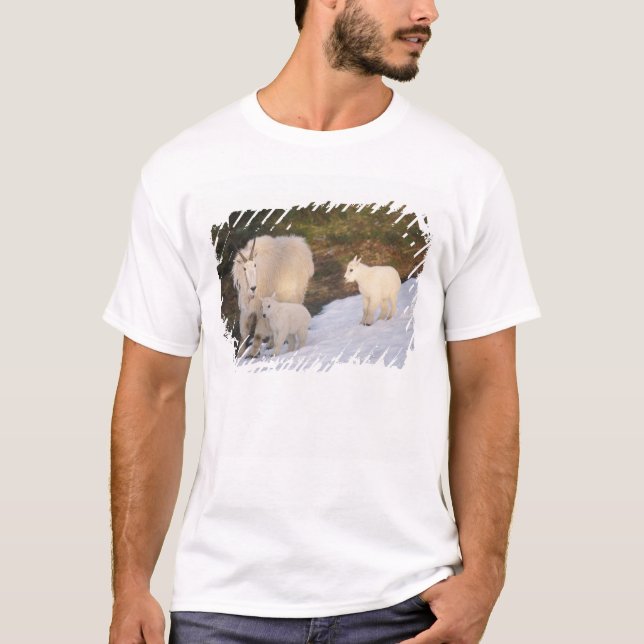 Camiseta cabras montesas (Anverso)