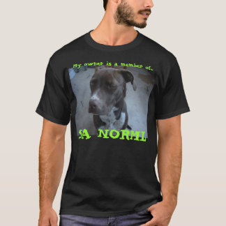 Camiseta Cachemira/camiseta de Norml