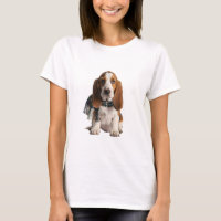 Cachorro adorable de Basset Hound con bufanda a cu