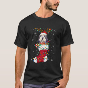 Camiseta Cachorro collie con barba de Santa Hat en Socks Xm