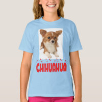 Cachorro de Chihuahua de pelo largo para niñas