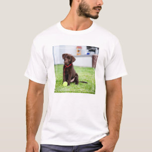 Camiseta Cachorro de chocolate con bola de tenis