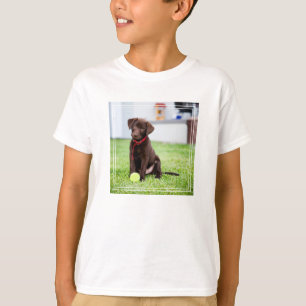 Camiseta Cachorro de chocolate con bola de tenis